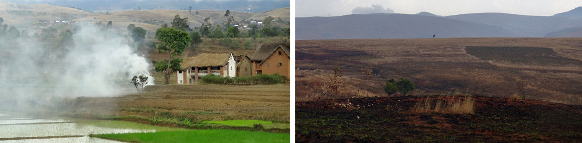 Abholzung und Brandrodung prägen die Landschaft