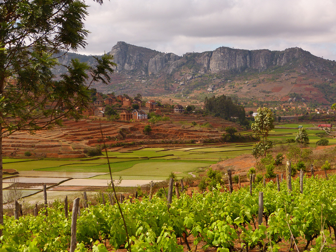 Wein- und Reisanbau bei Fianarantsoa