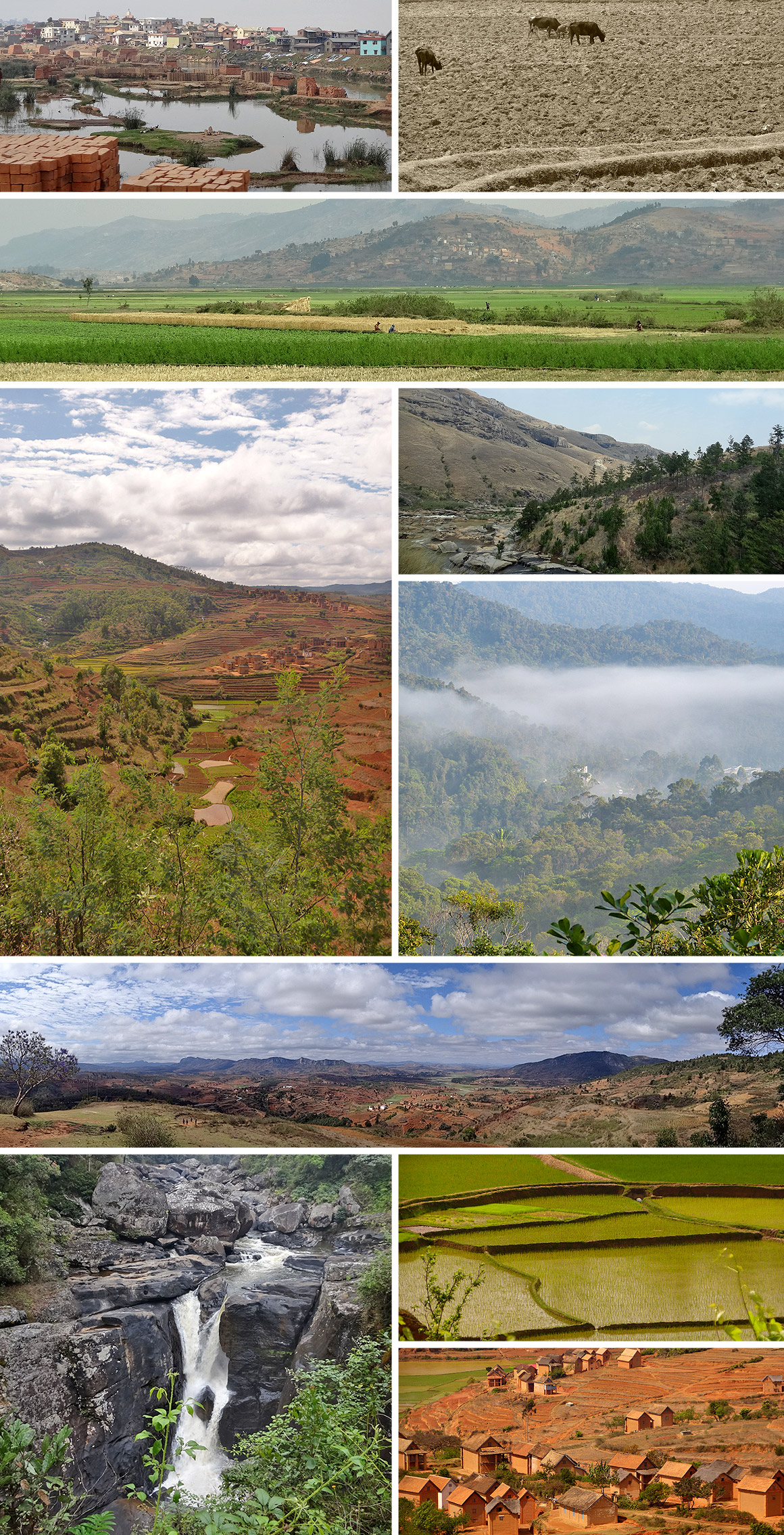 Von Antanarivo bis Fianarantsou: Üppige Landschaft und viele Serpentinen