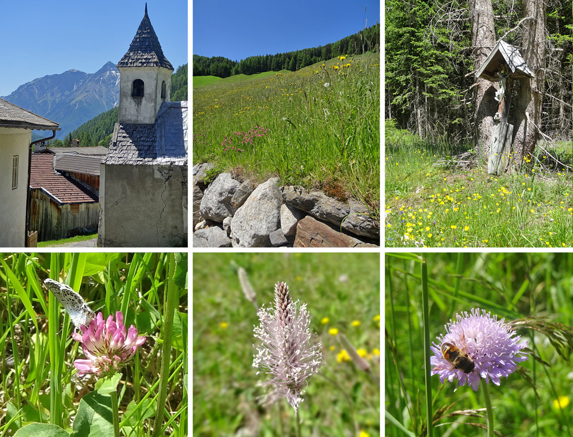 Südtirol - blühendes Italien vor St. Jakob
