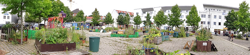 Lucie - Urban Gardening am Lucie-Flechtmann-Platz