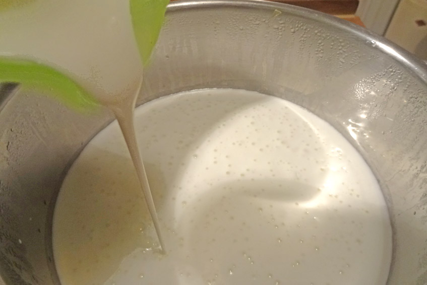 Joghurt und Zitronensaft kommen in die heiße Milch