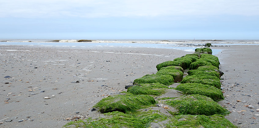 Norderney Strandimpression