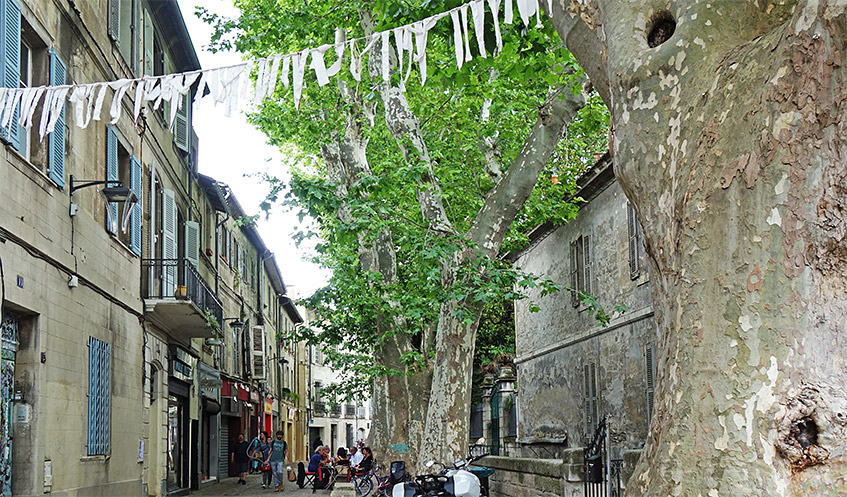 Im Färber-Viertel von Avignon