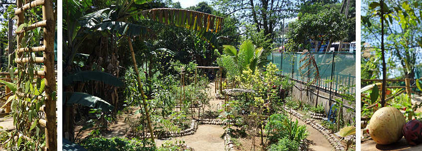 Gewürz- und Heilkräuter-Garten bei Kandy