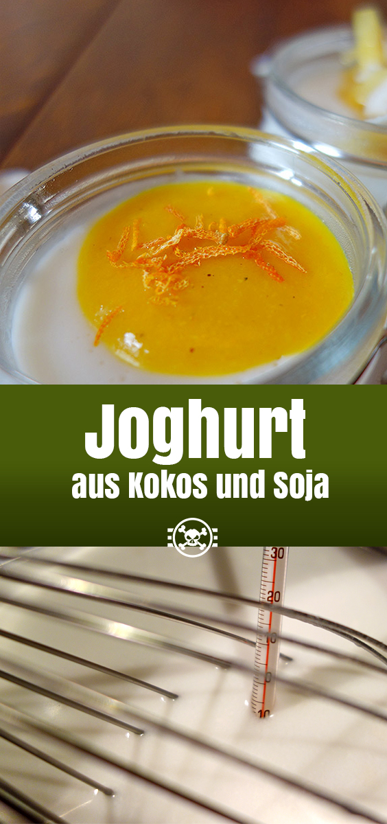 Joghurt aus Kokos und Soja
