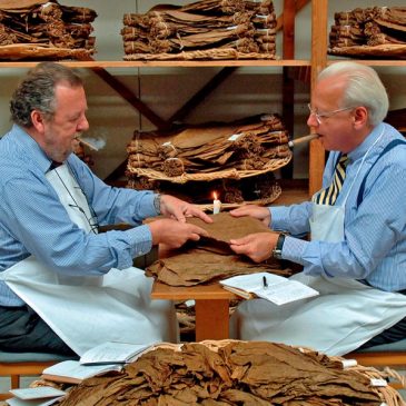 Tabak – Tradition und Handel