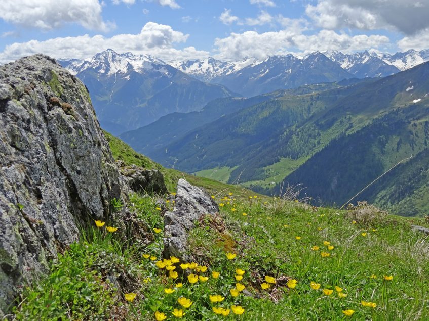Traumhafte Bergwelt des Zillertal
