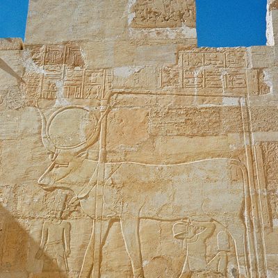 Luxor - Im Tempel von Hatschepsut