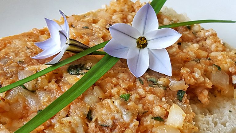 SchädelMädel - Veganes Mett oder Reiswaffel-Tomaten-Brotaufstrich