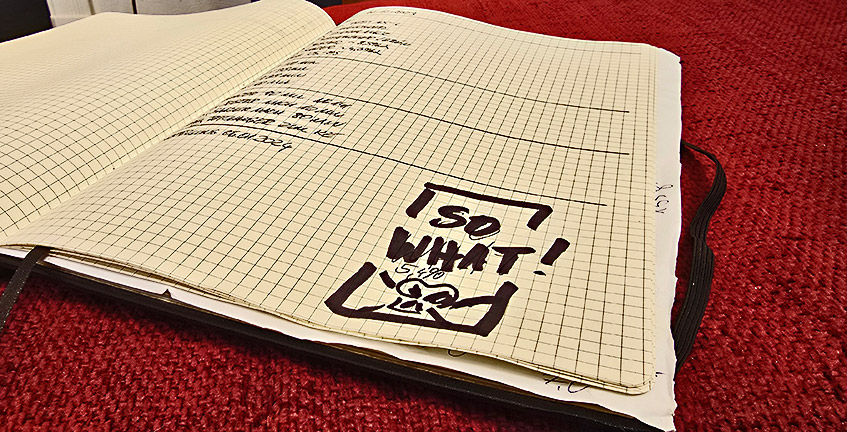 Möckernbräu Bier So What