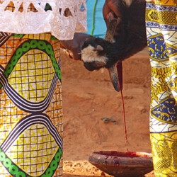 Ziegenopfer Ziegenopfer