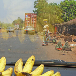 Straßen-Obst Straßen-Obst