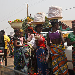 Geschäftsfrauen Geschäftsfrauen