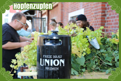 Grünhopfenbier Grüner Kuckuck - Hopfenzupfen Grünhopfenbier Grüner Kuckuck - Hopfenzupfen